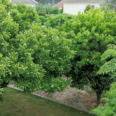 Villa Casa Dos Avos à Canas de Senhorim Extérieur photo