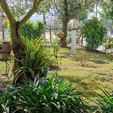 Villa Casa Dos Avos à Canas de Senhorim Extérieur photo