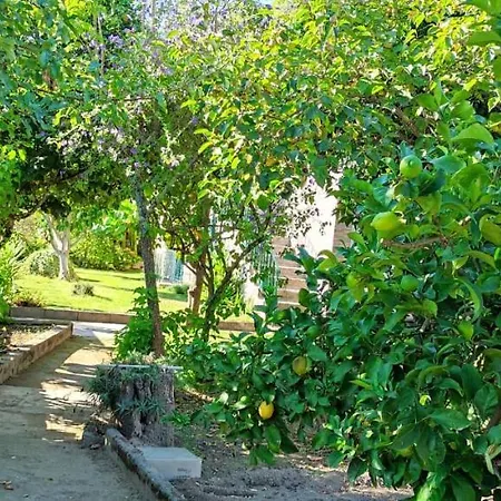 Villa Casa Dos Avos à Canas de Senhorim Extérieur photo