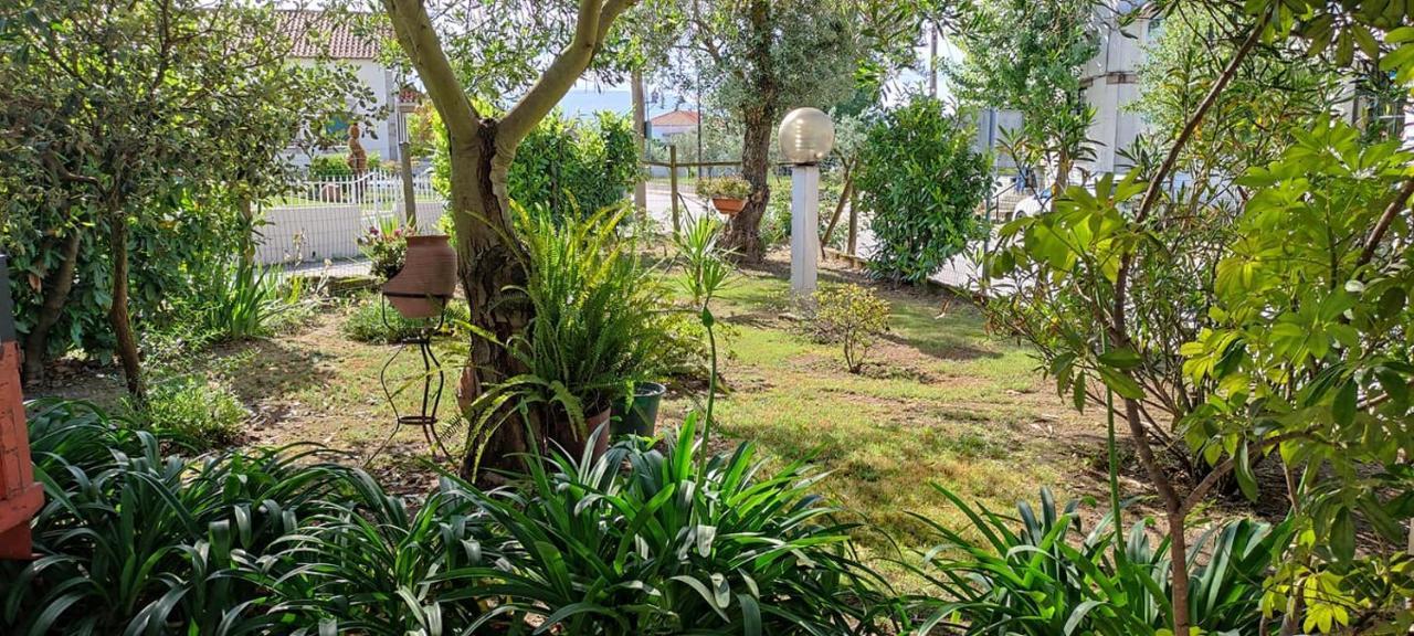 Casa Dos Avos *